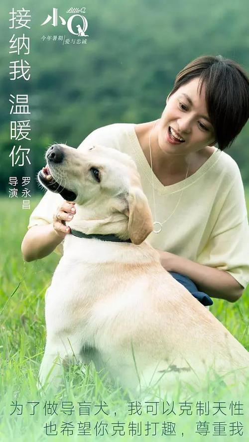 办假的得克萨斯州驾驶证